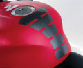 OXFOR PAINT PROTECTION SPINE - CARBON