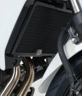 R&G PROTECTION RADIATOR GUARD WATER
