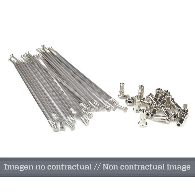HAANW SPOKE SET 259303, SIL/SIL