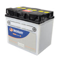 TECNI BATTERY 52515 CONV W/ ACID