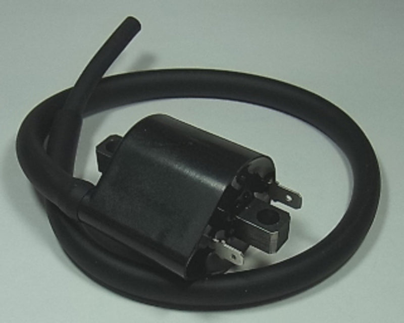 TOURM IGNITION COIL 303