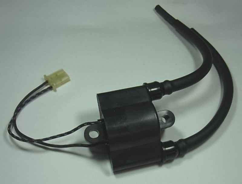 TOURM IGNITION COIL 307