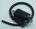 TOURM IGNITION COIL 319