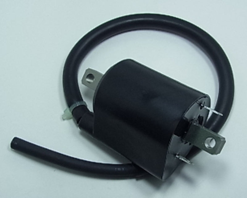 TOURM IGNITION COIL 319