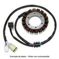 TOURM STATOR