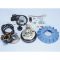 POLIN IGNITION KIT 171.0543