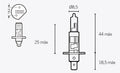 VPART BULB H1 12V/55W