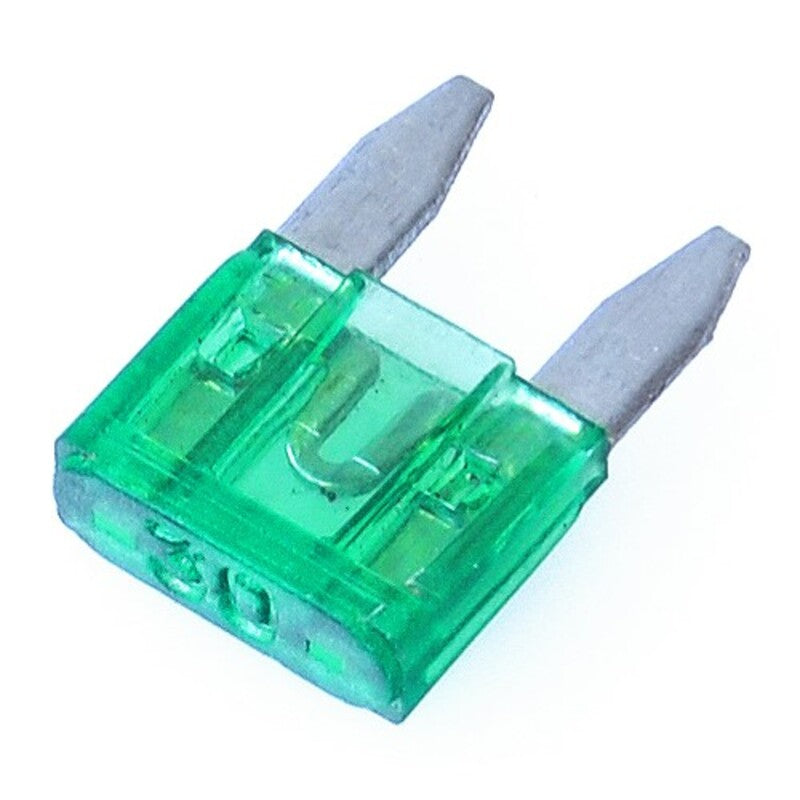 VPART MINI-FUSES 30A X100