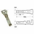 BIHR TERMINAL PIN 060 AM FEMALE X50