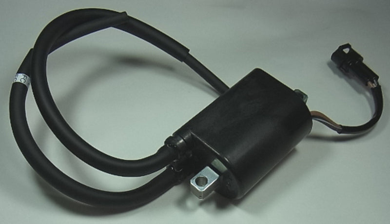 TOURM IGNITION COIL 301