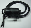 TOURM IGNITION COIL 313