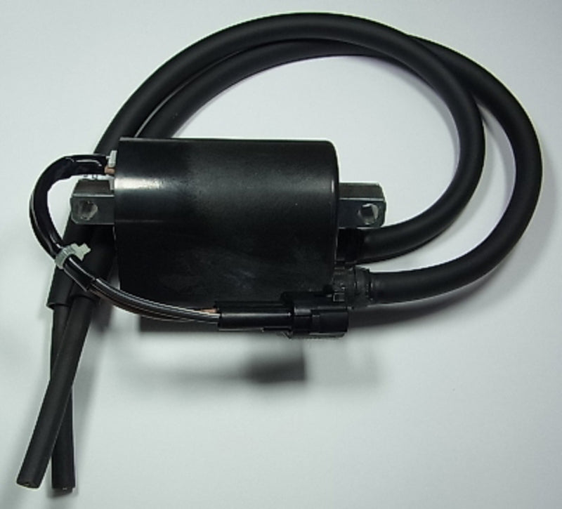 TOURM IGNITION COIL 313