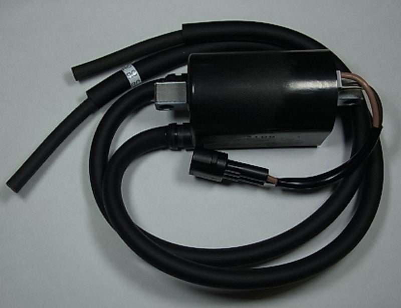 TOURM IGNITION COIL 314