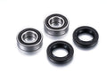 FACTO KIT BEARINGS REAR WHEEL