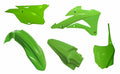 RTECH PLASTIC KIT 5 PCS, OEM