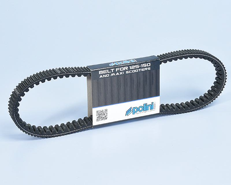 POLIN BELT
