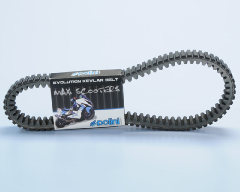 POLIN BELT
