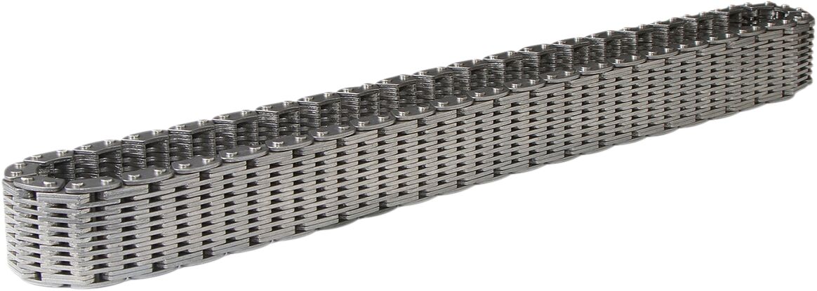 TRANSAXLE REAR DRV CHAIN