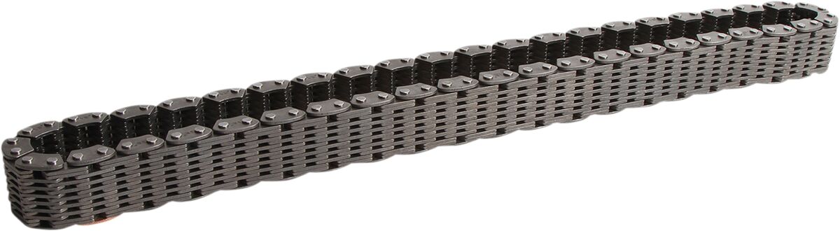TRANSAXLE REAR DRV CHAIN