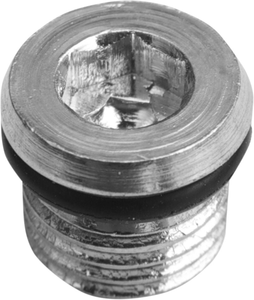 PLUG MAGNETIC PRIMARY 5/16-18