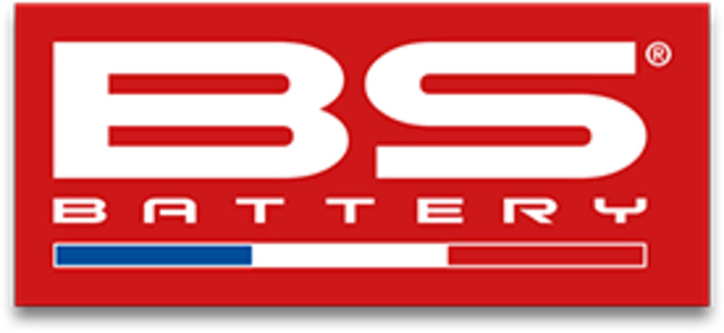 BSBAT SMALL STICKER BS FRNECH FLAG X50