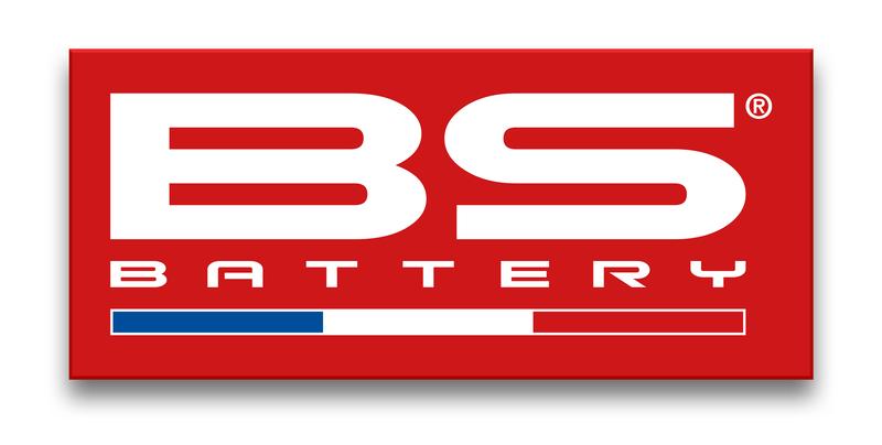 BSBAT BIG STICKER BS FRENCH FLAG