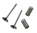 WOSSN VALVE KIT
