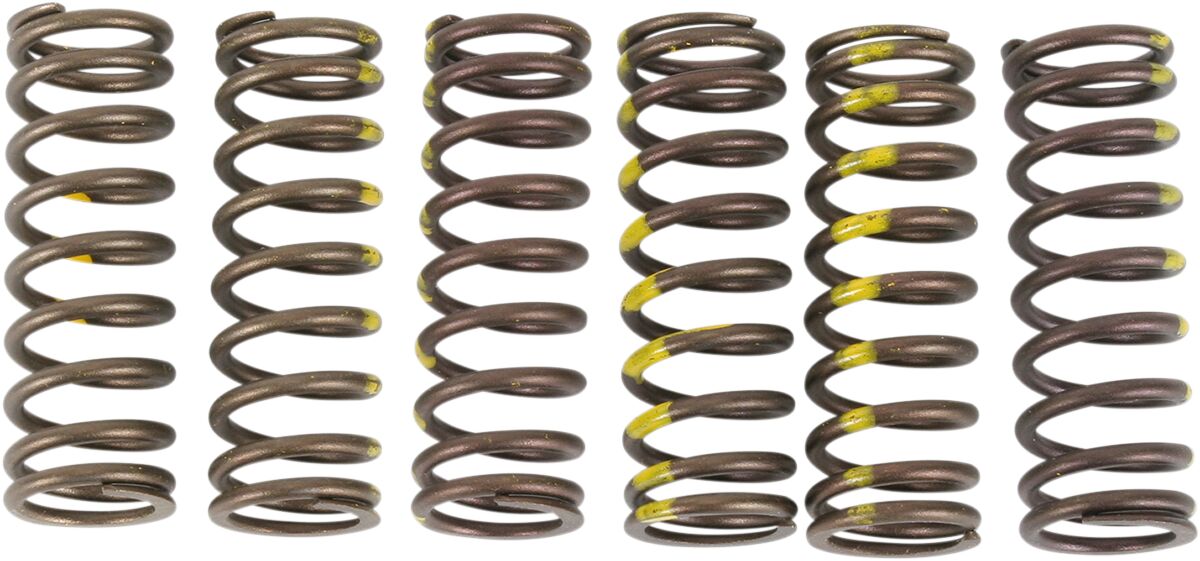 SPRINGS CLUTCH RMZ450
