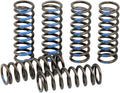 SPRINGS CLUTCH YZ250F