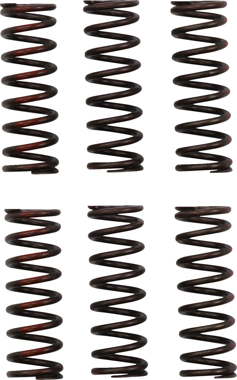 CLUTCH SPRING CRF450R