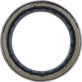 PRIMARY CLTCH BEARING POL