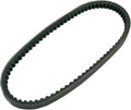 BELT TRAN 20X10X800