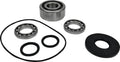 BEARING KIT DIFFERENTIAL FT PO