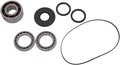 BEARING KIT DIFFERENTIAL FT PO