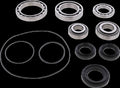 BEARING DIFFERENTIAL/SEAL KIT