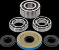 BEARING DIFFERENTIAL/SEAL KIT
