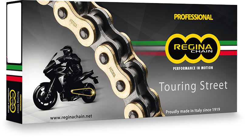 CHAIN 520ZRT GB 110RS+RH