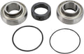 CHAINCASE BEARING-SEAL KT