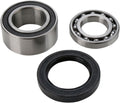 CHAINCASE BEARING-SEAL KT