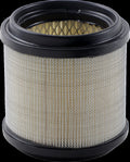 AIR FILTER POLARIS ALL 2-STK