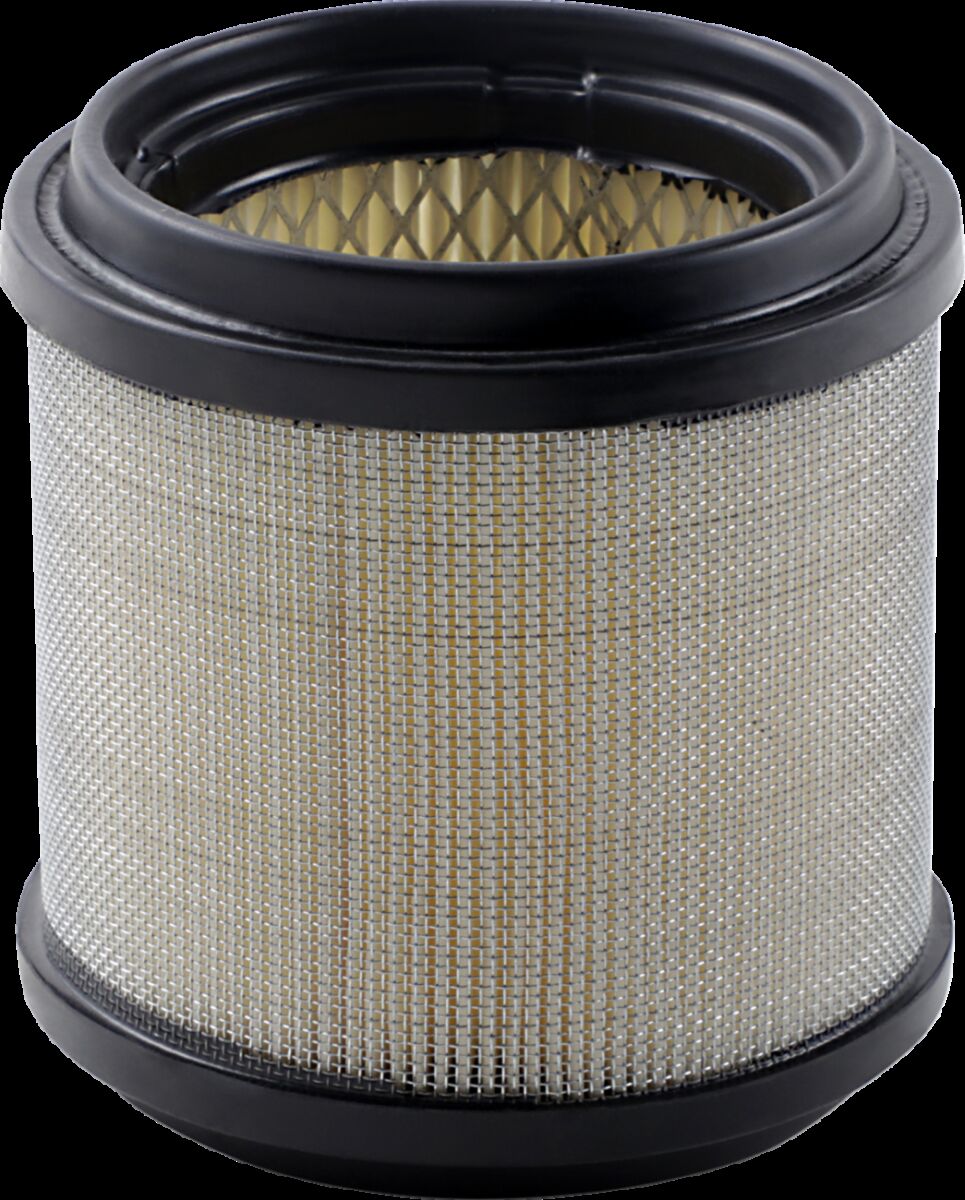 AIR FILTER POLARIS ALL 2-STK