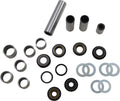 BEARING SWINGARM LNK KTM