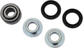 BEARING SHOCK LOWER BETA