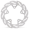 BRAKE DISC FLAME REAR