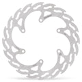 BRAKE DISC FLAME REAR