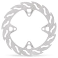 BRAKE DISC FLAME REAR