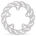 BRAKE DISC FLAME REAR