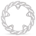 BRAKE DISC FLAME REAR