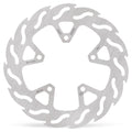 BRAKE DISC FLAME REAR