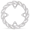 BRAKE DISC FLAME REAR